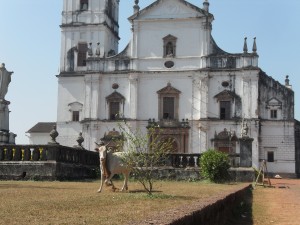 The cow sacred to Hindus in front of the Catherdal is ironic but that's India