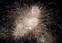 Fireworks greeted MSC Divina upon arrival in Miami